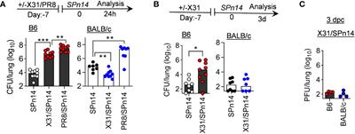 Immune predisposition drives susceptibility to pneumococcal pneumonia after mild influenza A virus infection in mice